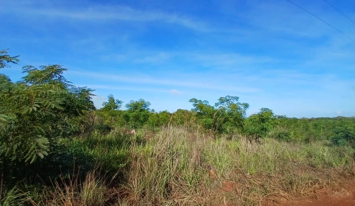 Agricultural Land for Sale – Large Plot in St Joseph, Arsenal, Terre Rouge 9