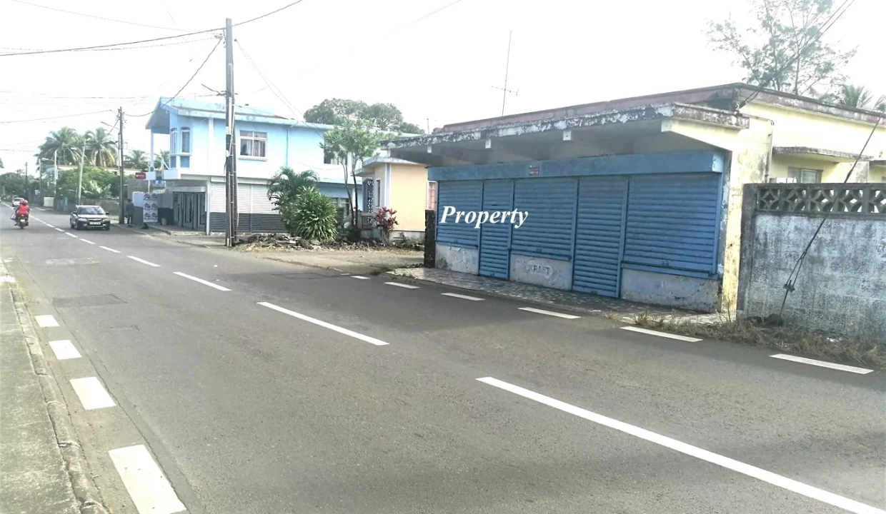 Commercial Land for Sale – 10.90 Perche(s), Surinam, South 1