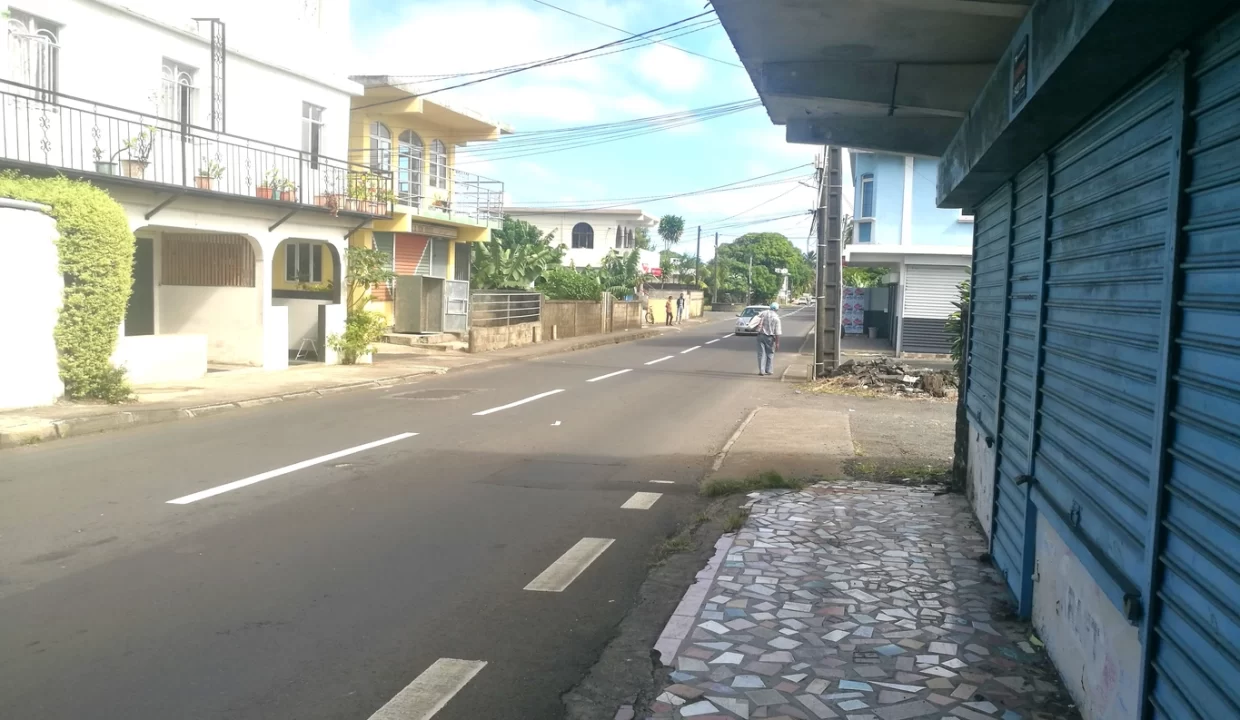 Commercial Land for Sale – 10.90 Perche(s), Surinam, South 3