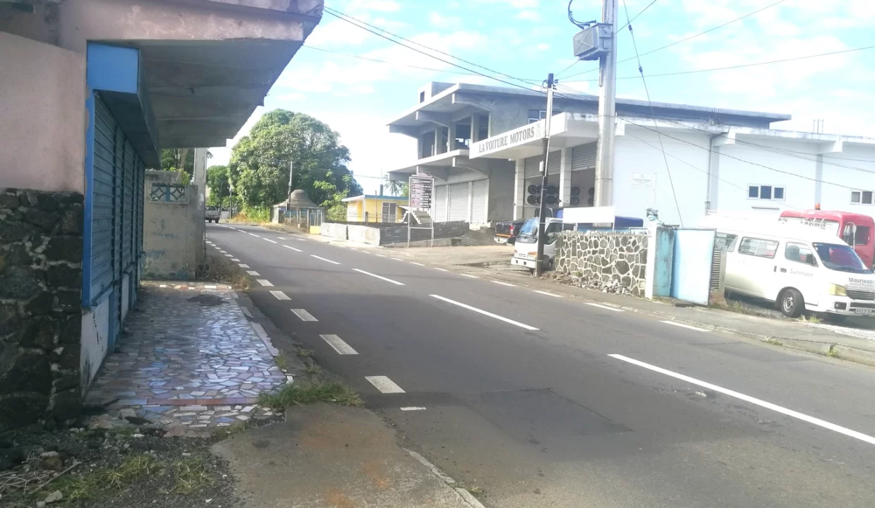 Commercial Land for Sale – 10.90 Perche(s), Surinam, South 4