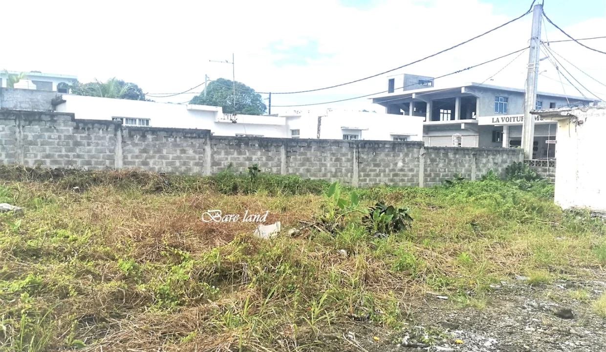 Commercial Land for Sale – 10.90 Perche(s), Surinam, South 6