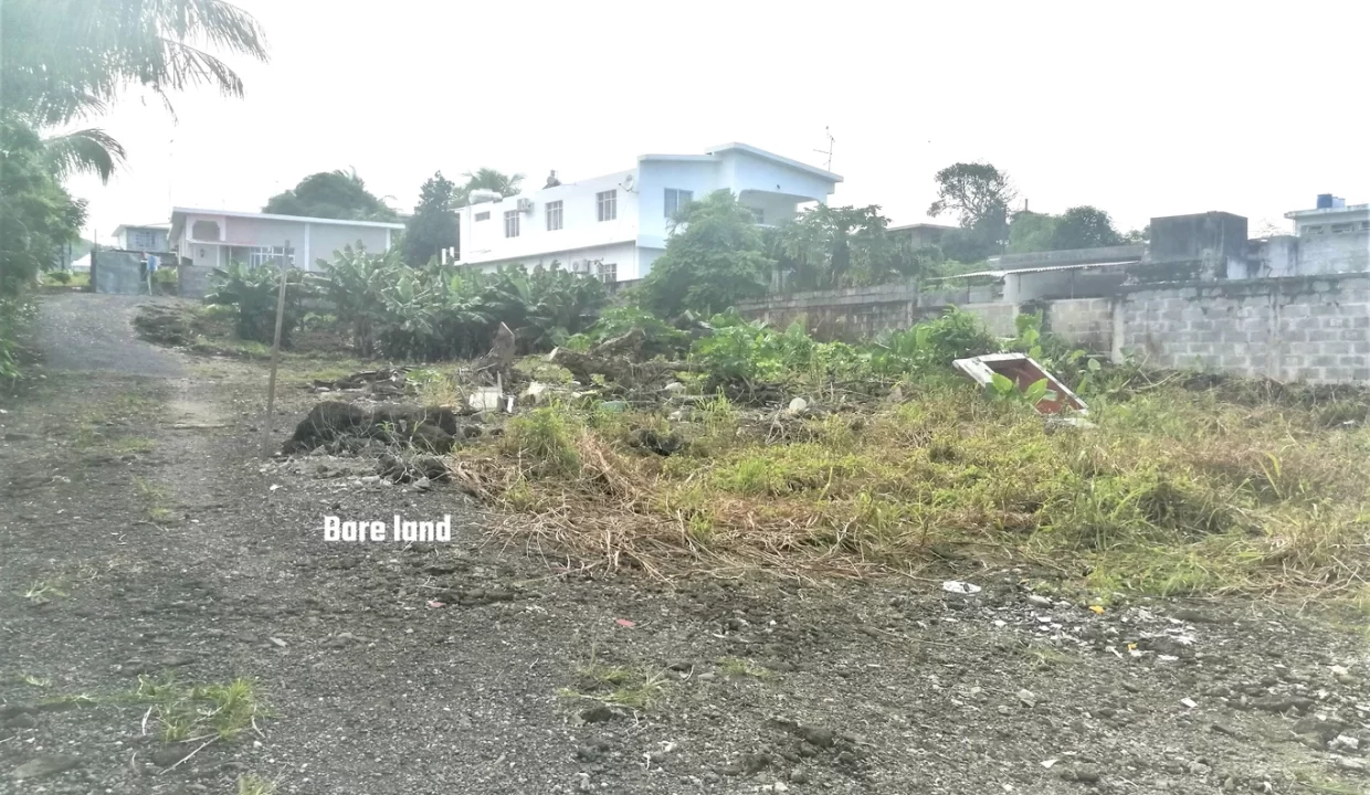 Commercial Land for Sale – 10.90 Perche(s), Surinam, South 7