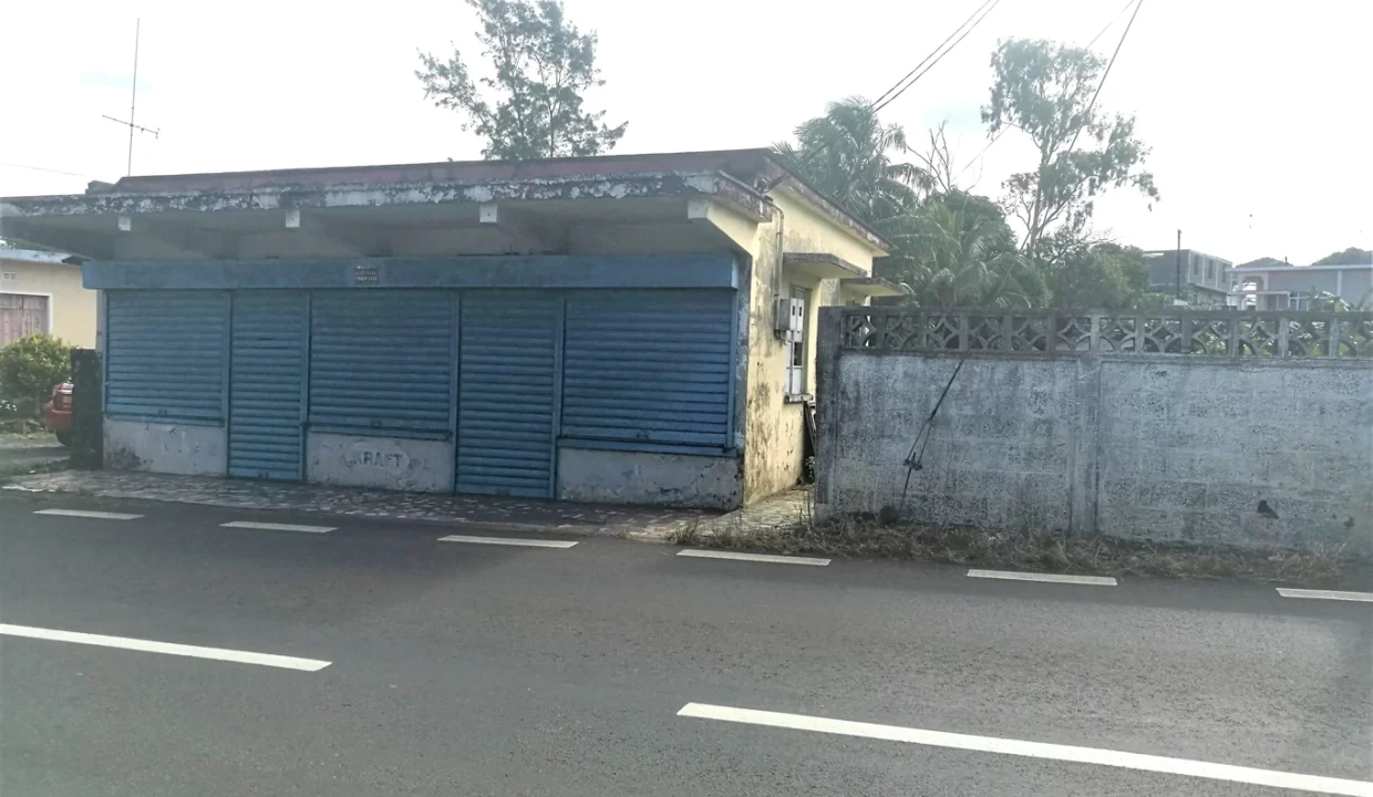 Commercial Land for Sale – 10.90 Perche(s), Surinam, South 9
