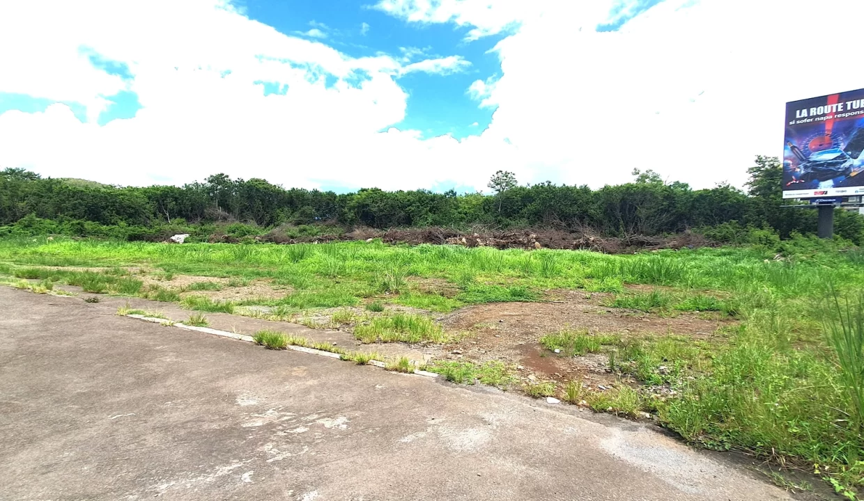 Commercial Land for Sale – 88 Perches, Phoenix 9