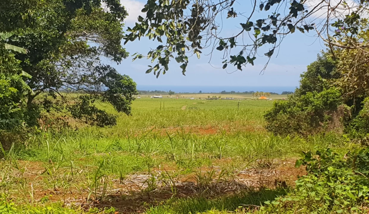 LAND FOR SALE AT GROS BILLOT NEW GROVE 1