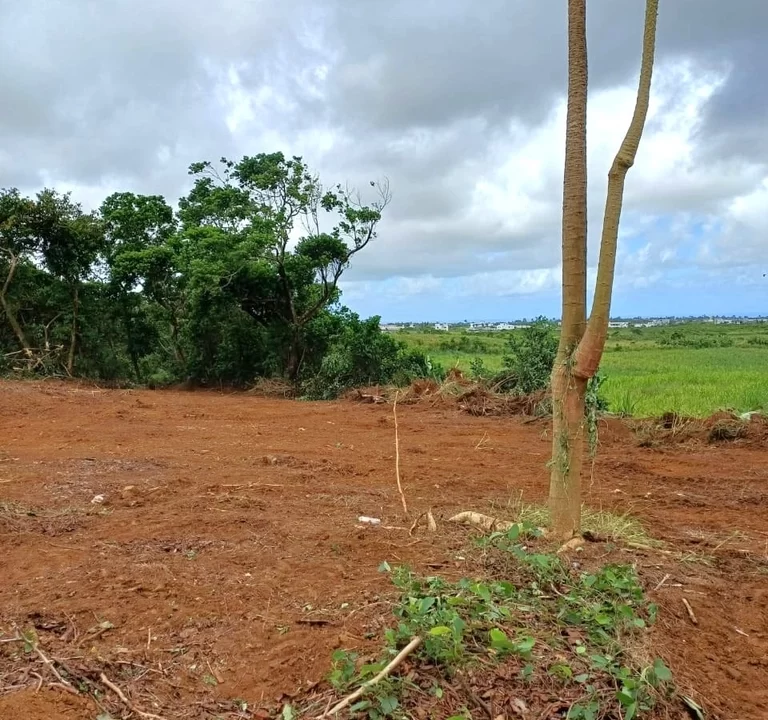 LAND FOR SALE AT GROS BILLOT NEW GROVE 10