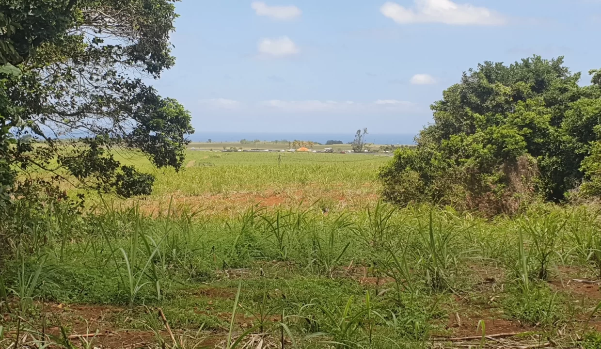 LAND FOR SALE AT GROS BILLOT NEW GROVE 2