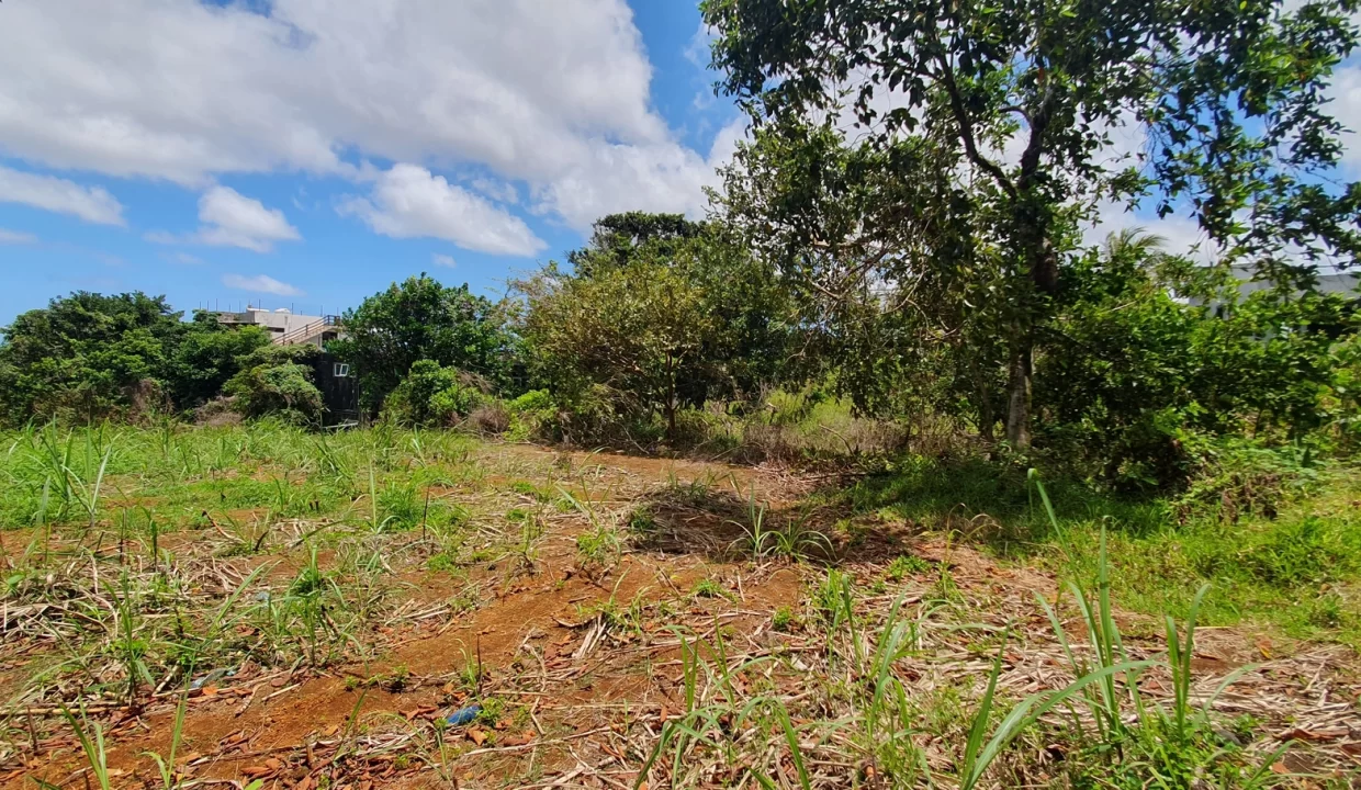 LAND FOR SALE AT GROS BILLOT NEW GROVE 3