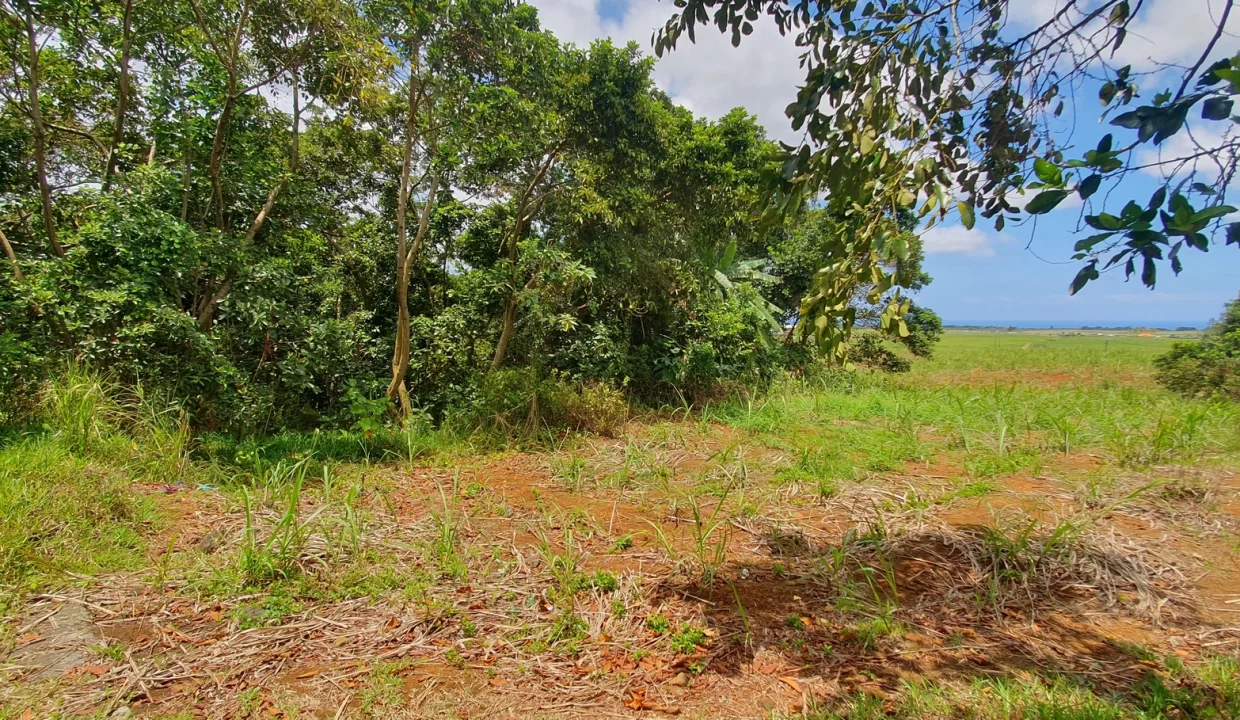 LAND FOR SALE AT GROS BILLOT NEW GROVE 5