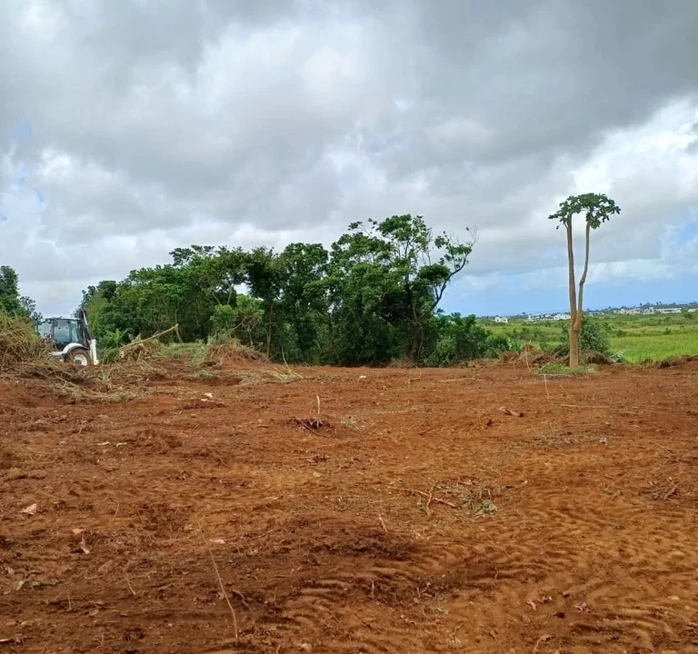 LAND FOR SALE AT GROS BILLOT NEW GROVE 8