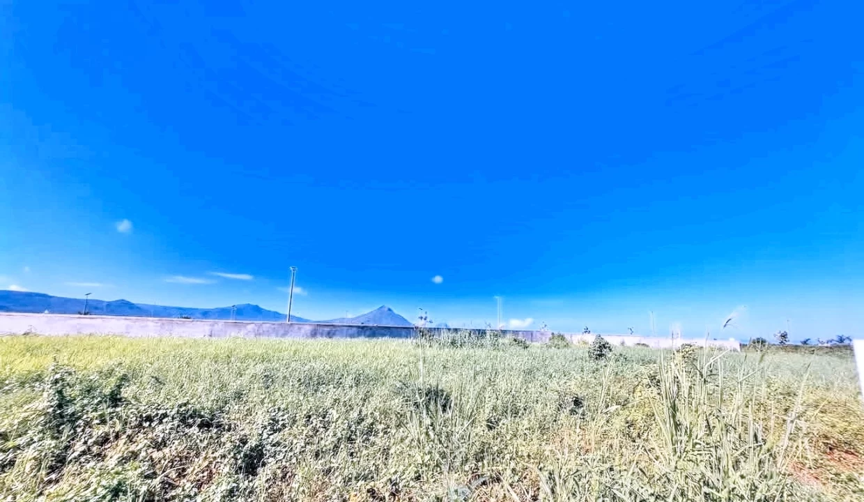 MAGENTA PARKSIDE – Residential Land for Sale - FLIC EN FLAC 10