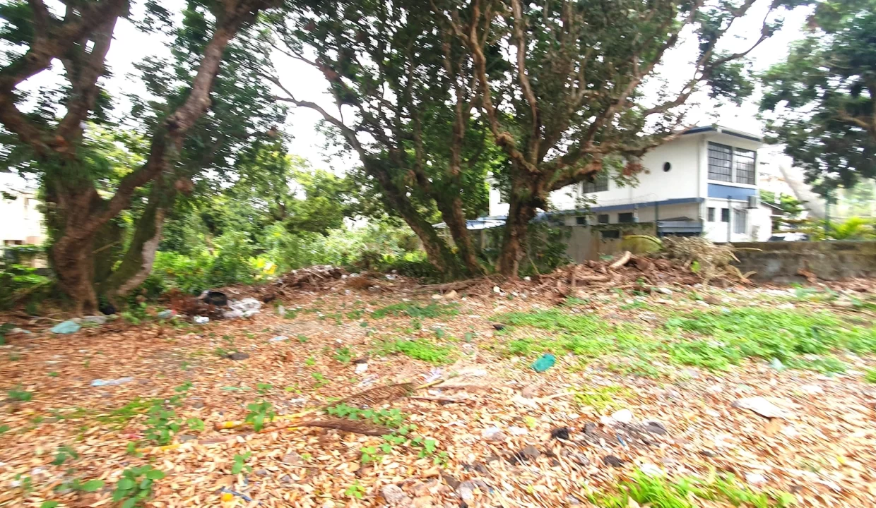 Prime Residential & Commercial Plot for Sale - La Caverne, Vacoas 6