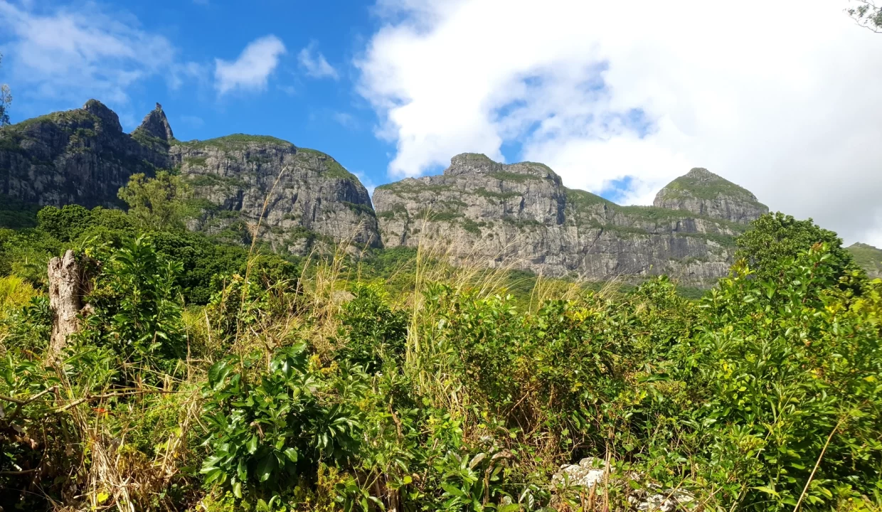 Prime Residential Land for Sale in Vallée des Prêtres, North – Sea & Mountain Views! 10