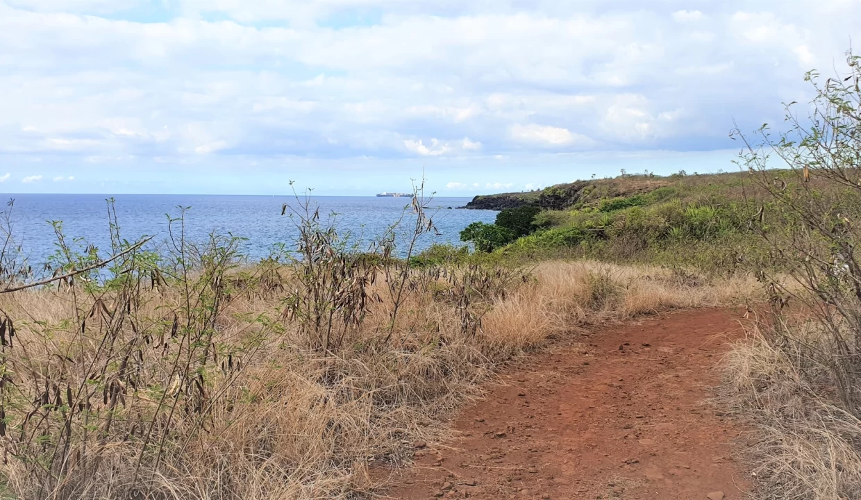 Residential Land for Sale – 100 Perche(s), Albion, West 3