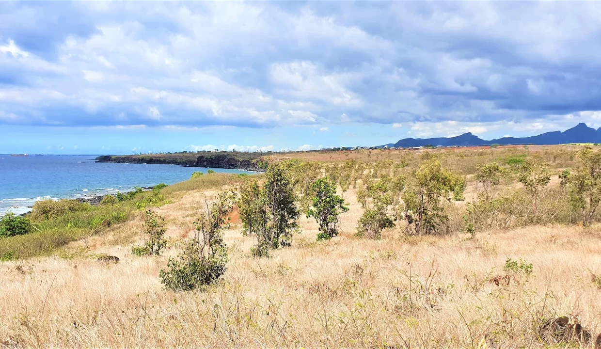 Residential Land for Sale – 31,235 m², Albion, West 2