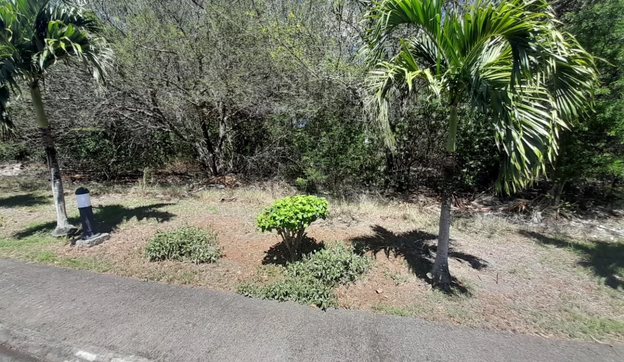 Residential Land for Sale – Domaine St Louis, Pailles 6