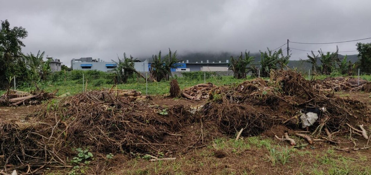 26 perche Land for Sale in Circonstance, Moka – Prime Spot for Your Next Investment! 2