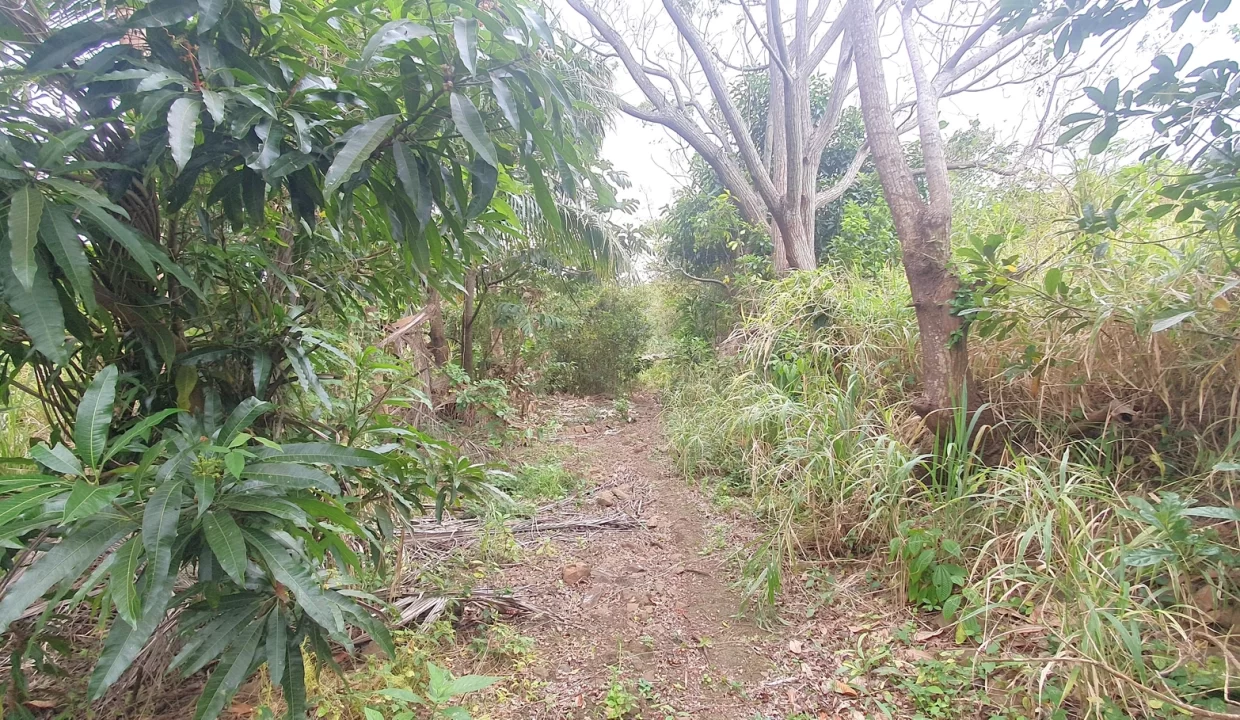 Hillside Agricultural Land for Sale – Shrimati Indira Gandhi Street, Crève Coeur 10