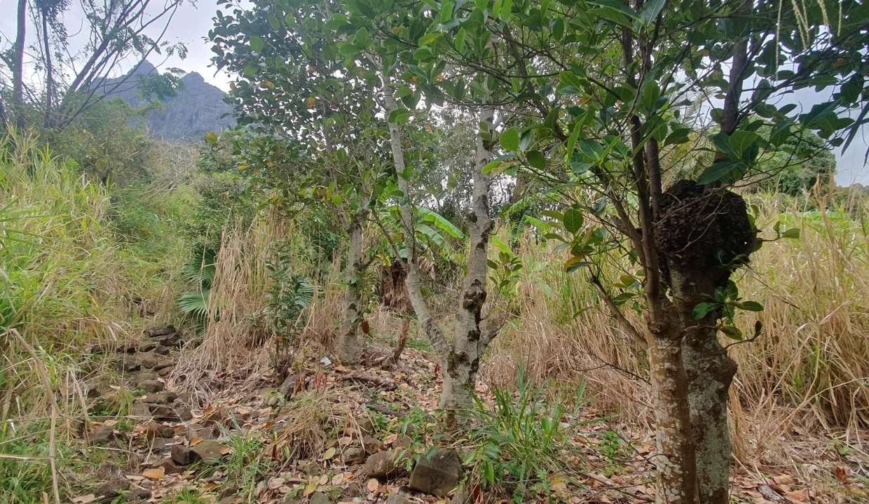 Hillside Agricultural Land for Sale – Shrimati Indira Gandhi Street, Crève Coeur 12