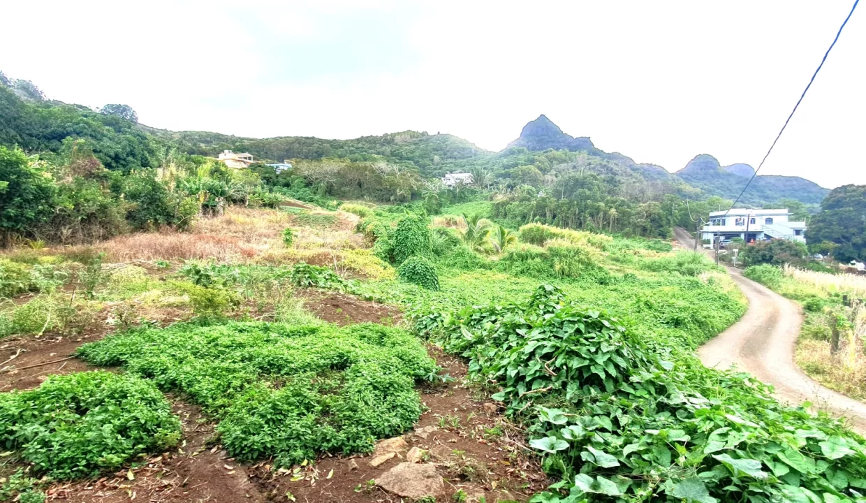 Hillside Agricultural Land for Sale – Shrimati Indira Gandhi Street, Crève Coeur 2