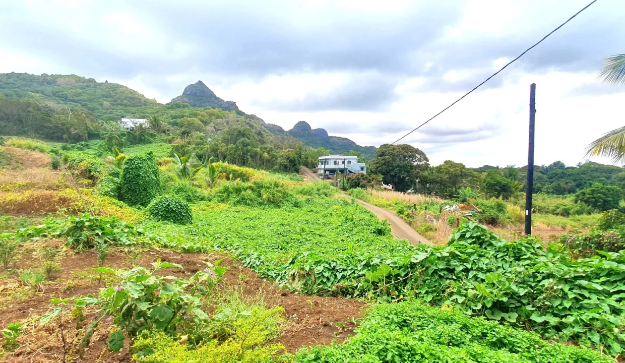 Hillside Agricultural Land for Sale – Shrimati Indira Gandhi Street, Crève Coeur 3