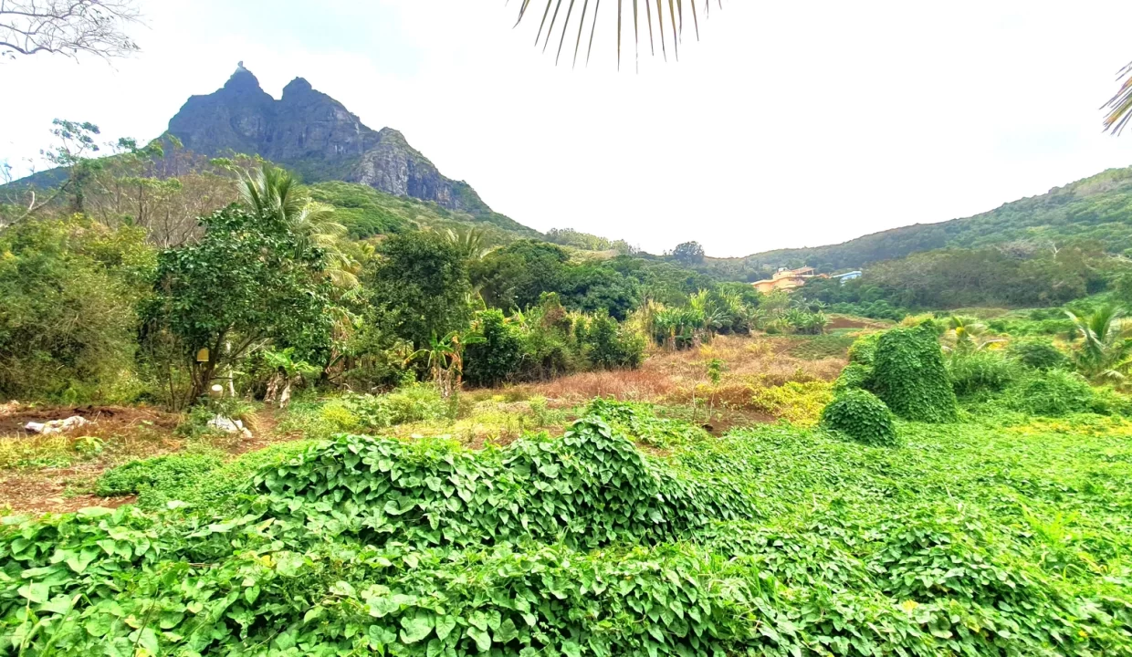 Hillside Agricultural Land for Sale – Shrimati Indira Gandhi Street, Crève Coeur 4