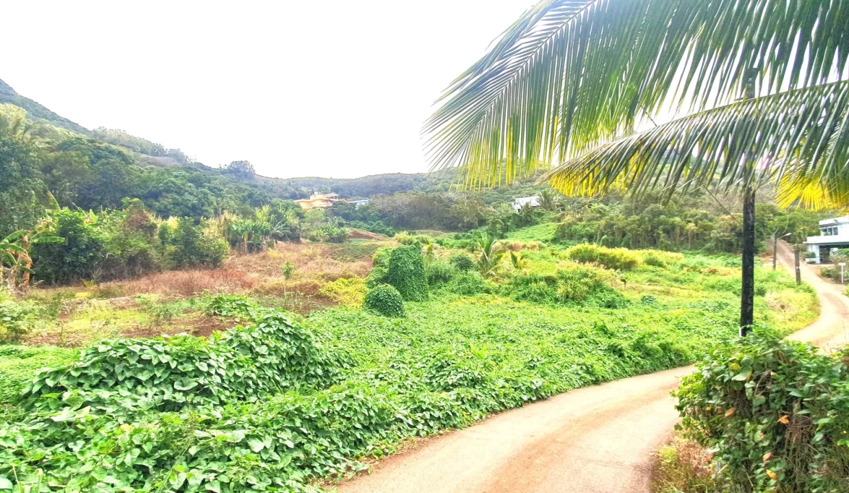 Hillside Agricultural Land for Sale – Shrimati Indira Gandhi Street, Crève Coeur 5