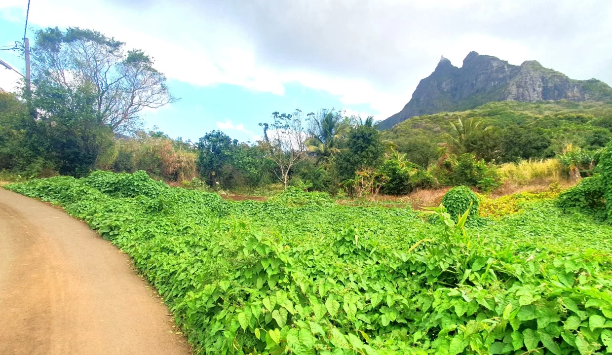 Hillside Agricultural Land for Sale – Shrimati Indira Gandhi Street, Crève Coeur 6