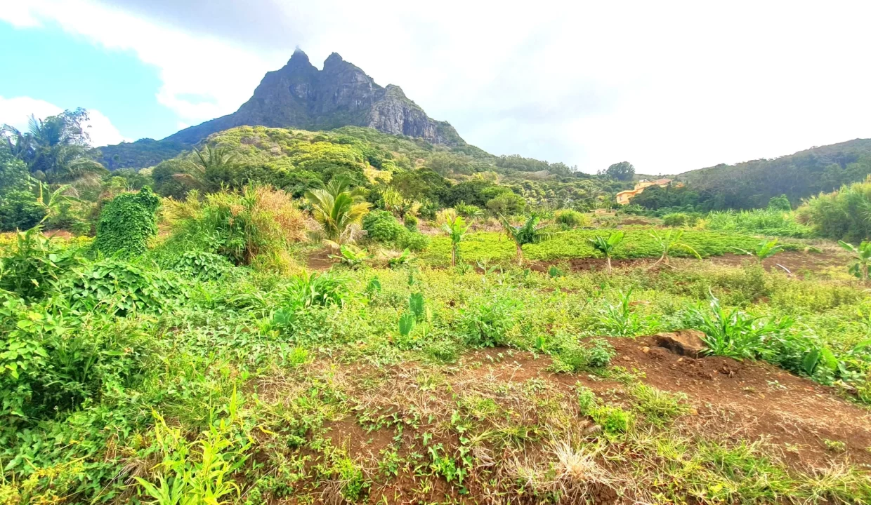 Hillside Agricultural Land for Sale – Shrimati Indira Gandhi Street, Crève Coeur 7