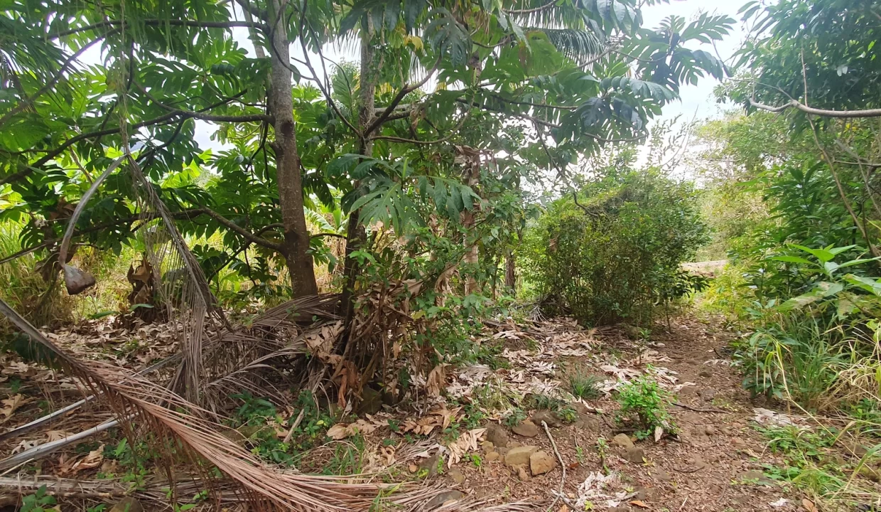 Hillside Agricultural Land for Sale – Shrimati Indira Gandhi Street, Crève Coeur 8