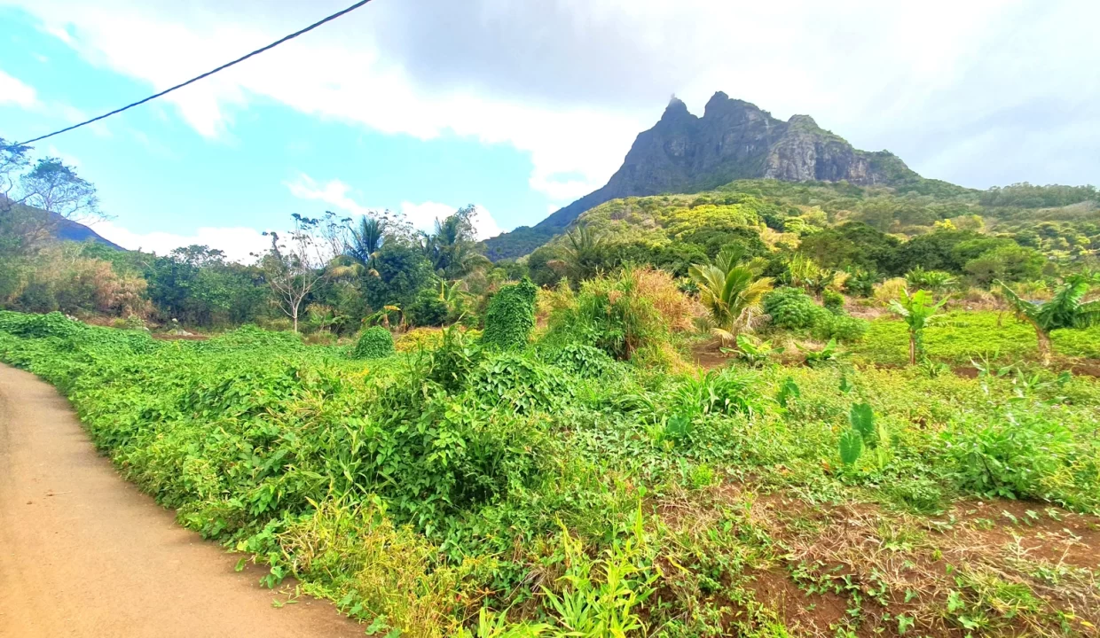 Hillside Agricultural Land for Sale – Shrimati Indira Gandhi Street, Crève Coeur 9