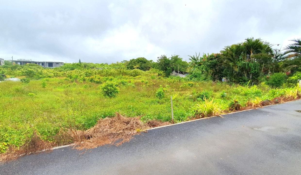 Prime Residential Plot for Sale – La Marie 4