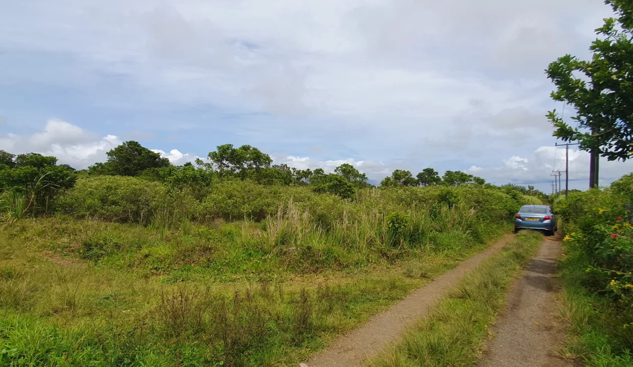 Prime ResidentialCommercial Land for Sale – Camp Fouquereaux 1