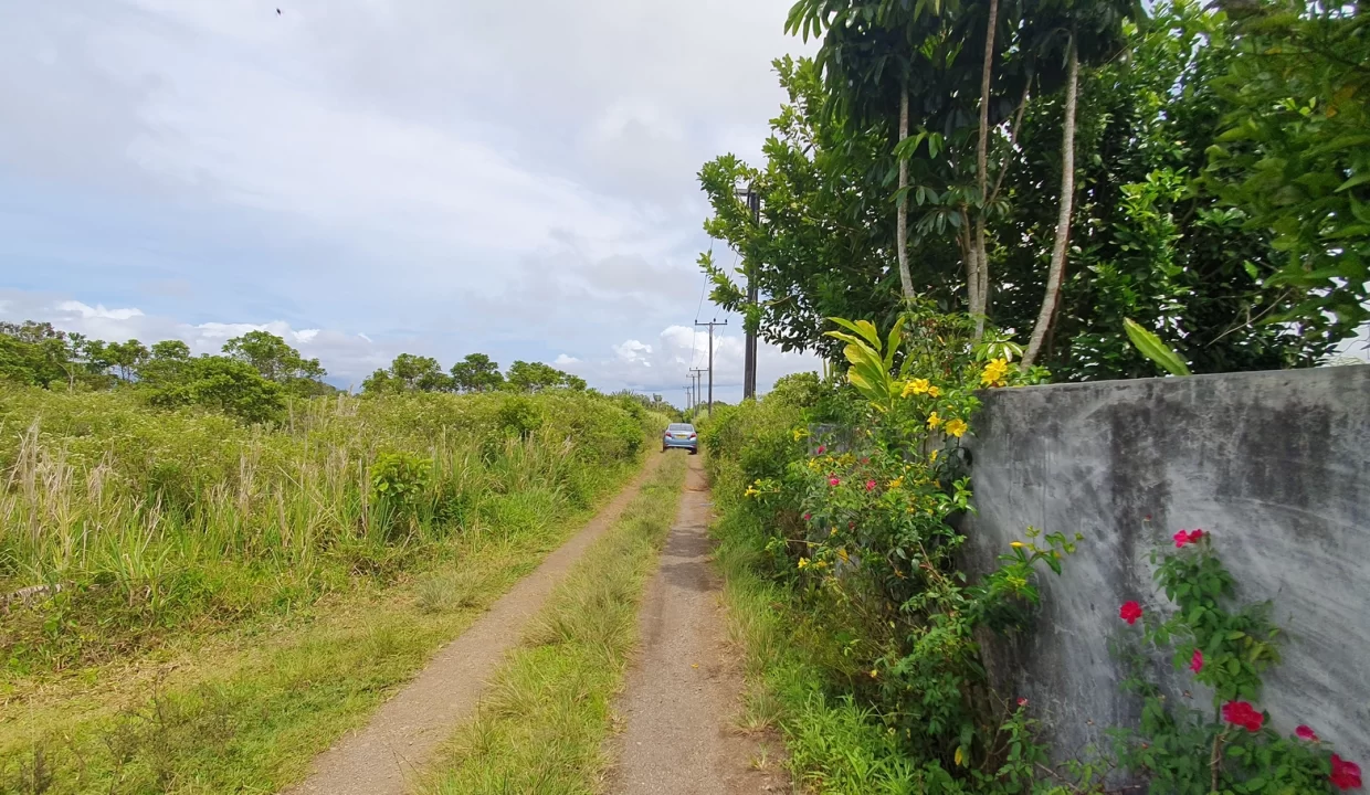 Prime ResidentialCommercial Land for Sale – Camp Fouquereaux 3