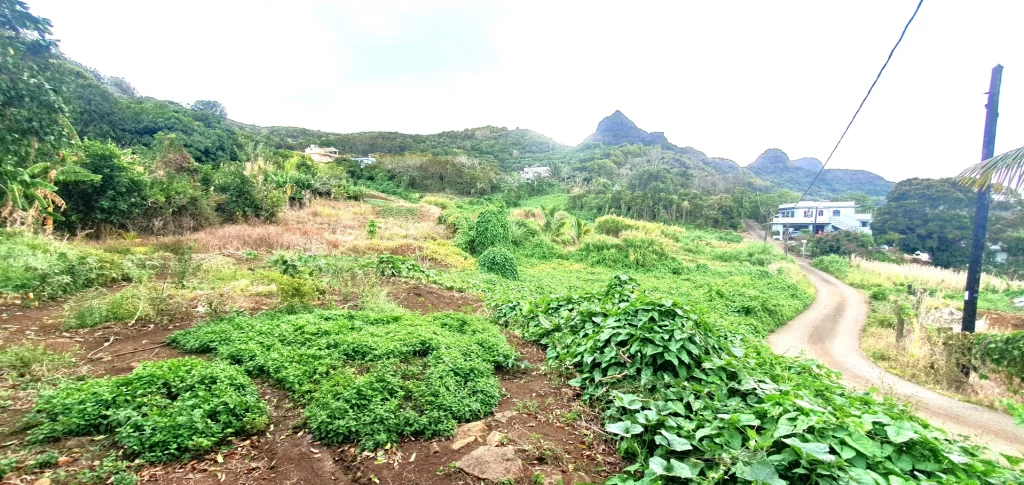Hillside Agricultural Land for Sale – Shrimati Indira Gandhi Street, Crève Coeur