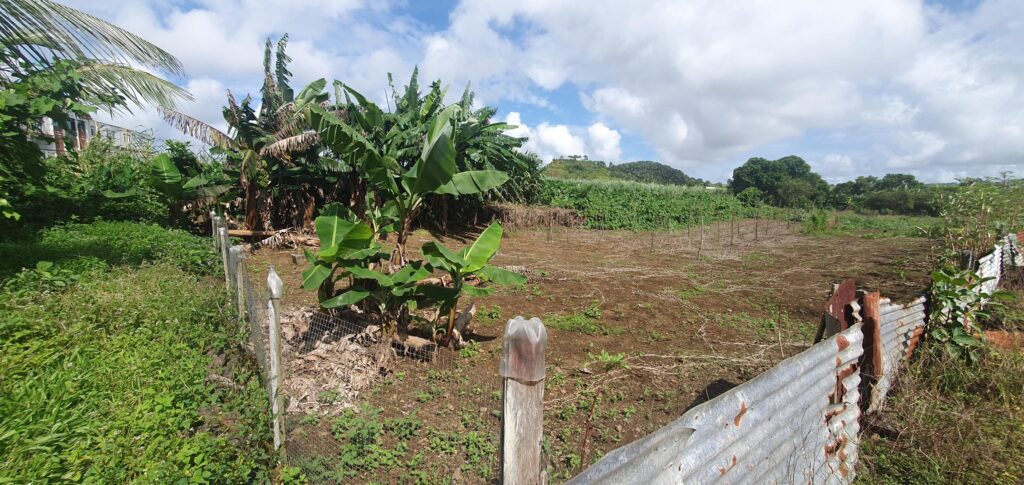 Exceptional Agricultural Land for Sale in St Julien d’Hotman – A Unique Opportunity!