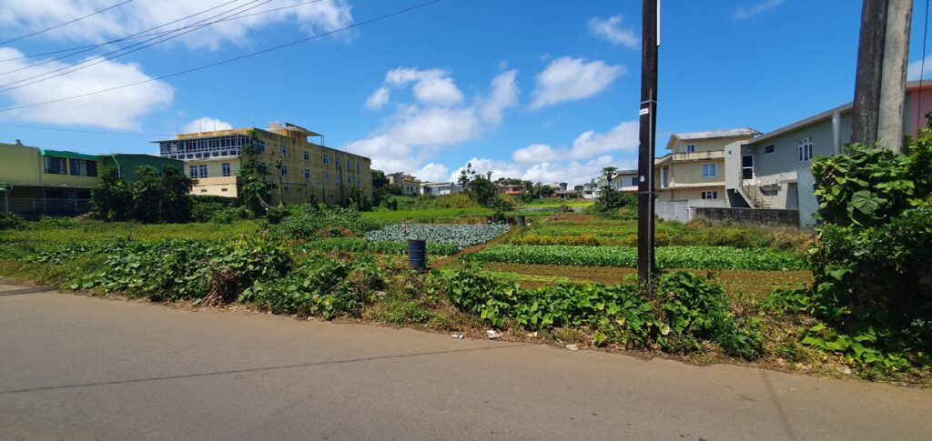 Land for sale at Clairfonds, Vacoas