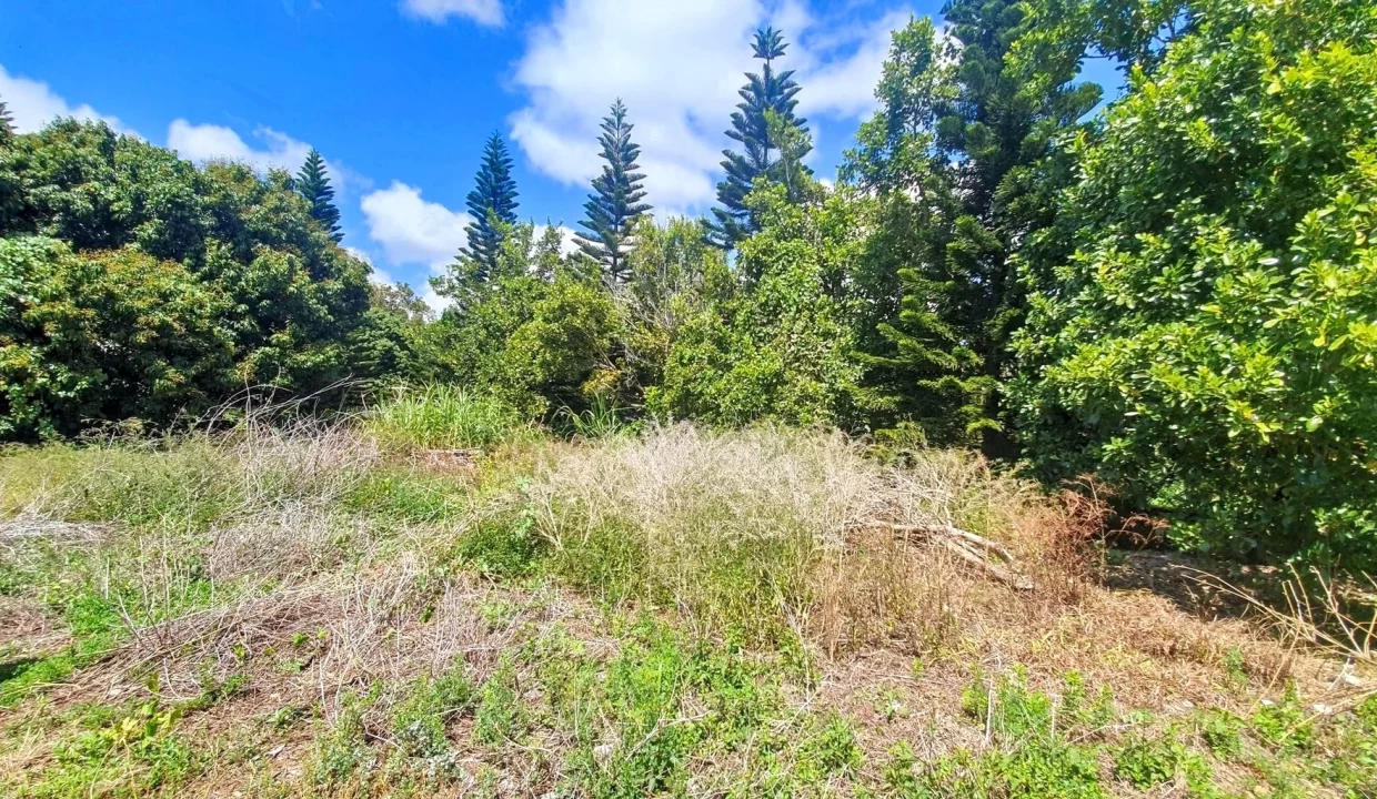 Exceptional Land For Sale in La Caverne, Vacoas 1