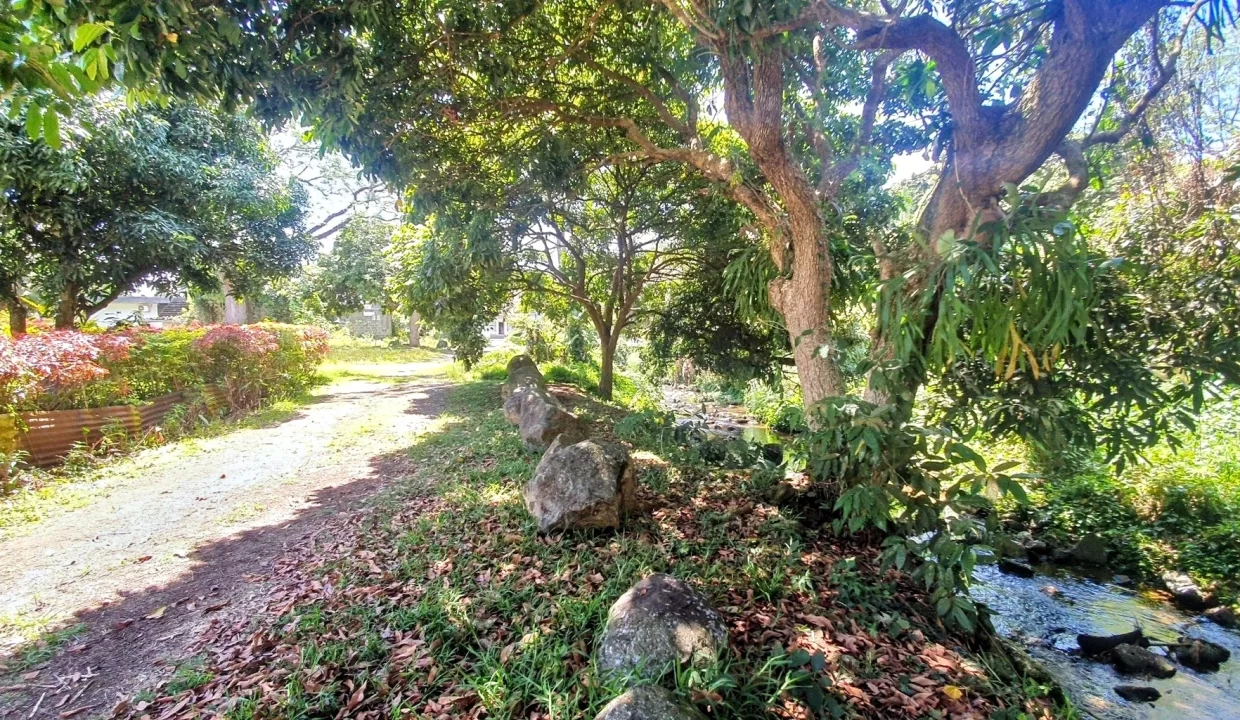 Exceptional Land For Sale in La Caverne, Vacoas 10