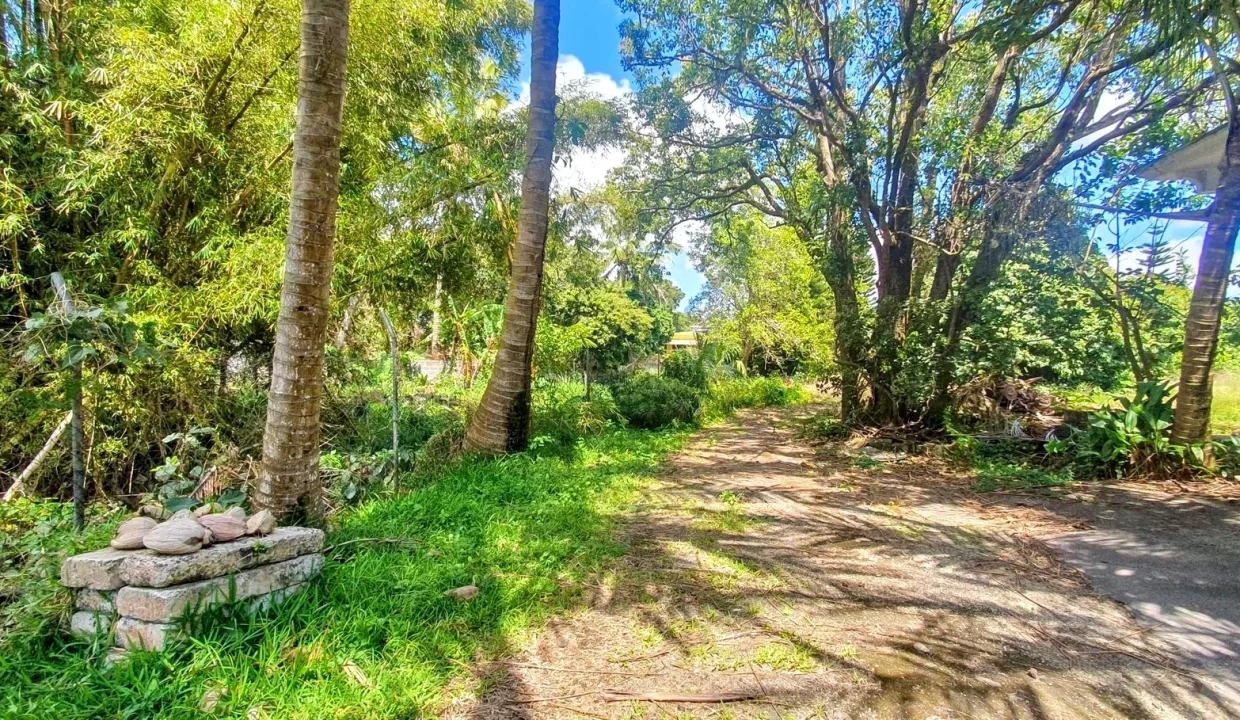 Exceptional Land For Sale in La Caverne, Vacoas 11