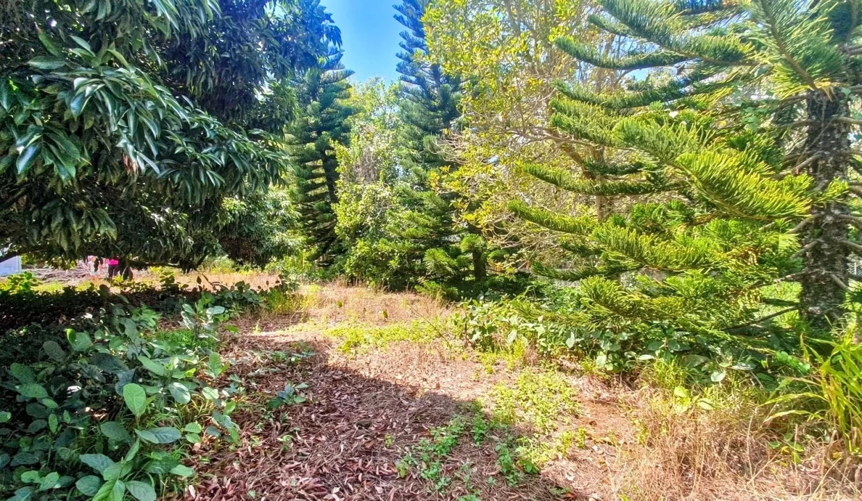 Exceptional Land For Sale in La Caverne, Vacoas 12