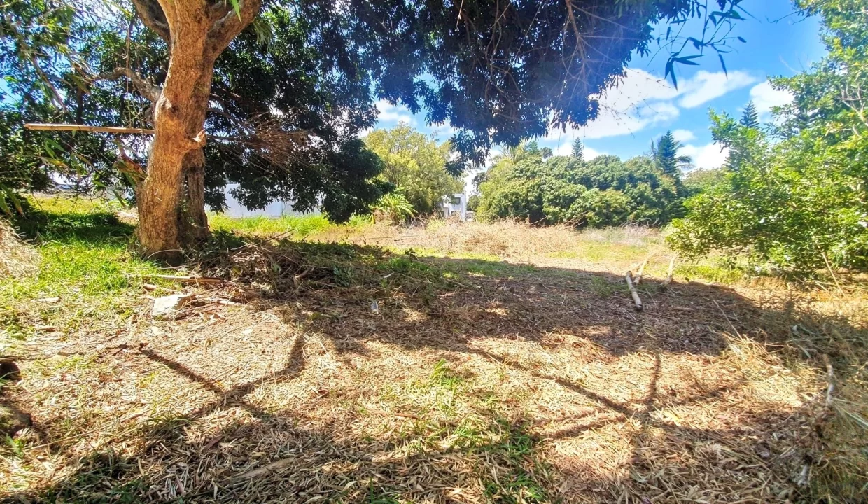 Exceptional Land For Sale in La Caverne, Vacoas 13