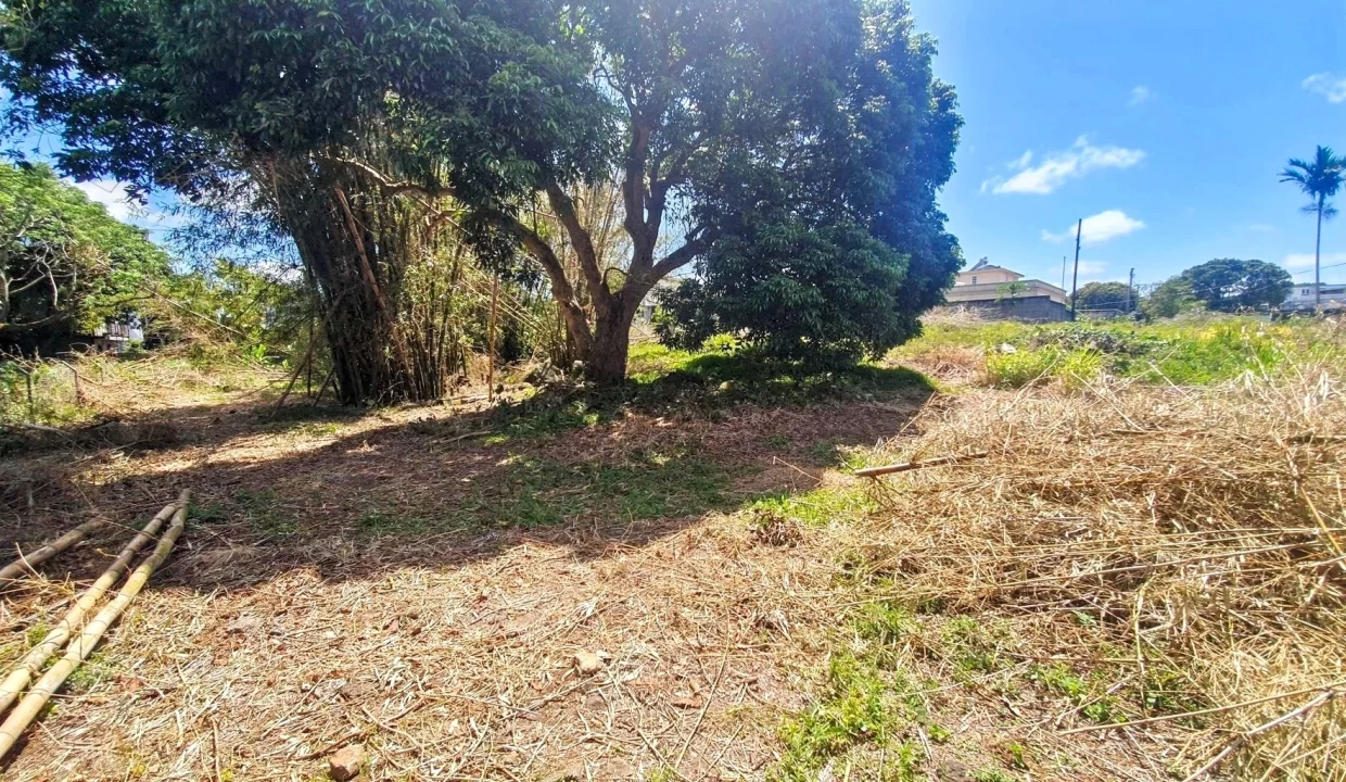 Exceptional Land For Sale in La Caverne, Vacoas 14