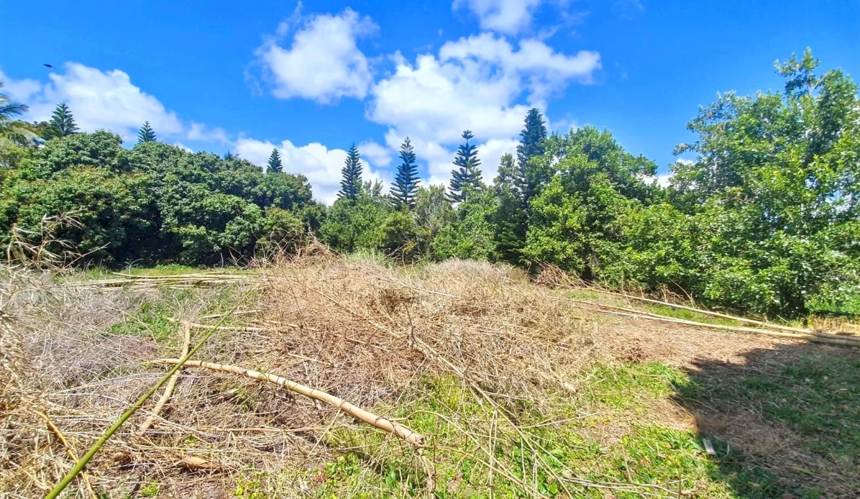 Exceptional Land For Sale in La Caverne, Vacoas 17