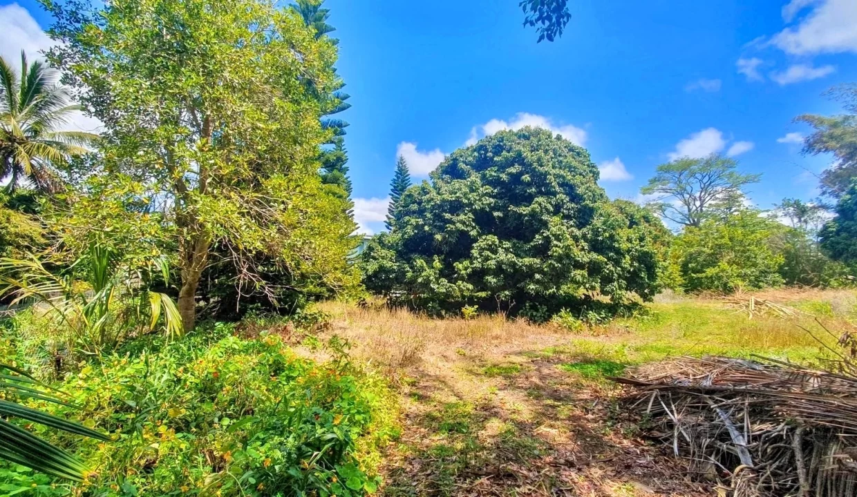 Exceptional Land For Sale in La Caverne, Vacoas 18