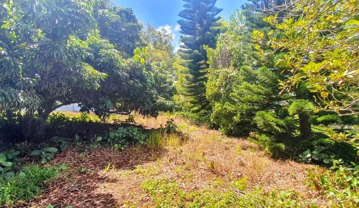 Exceptional Land For Sale in La Caverne, Vacoas 19