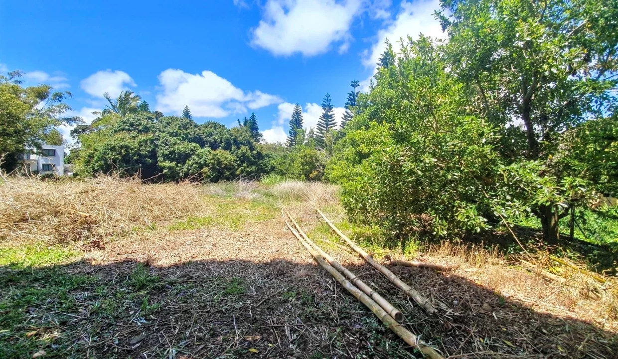 Exceptional Land For Sale in La Caverne, Vacoas 20
