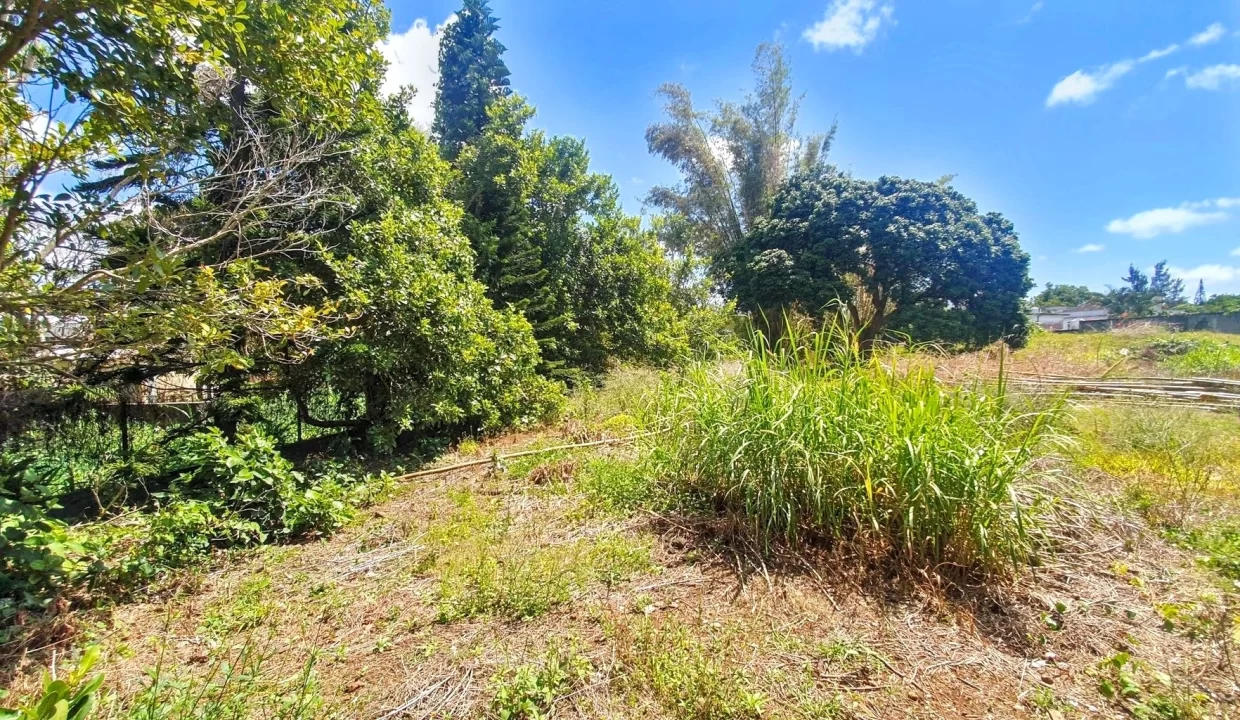 Exceptional Land For Sale in La Caverne, Vacoas 5