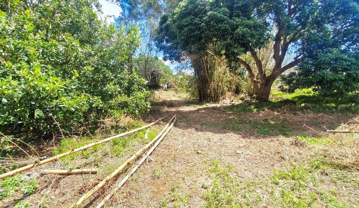Exceptional Land For Sale in La Caverne, Vacoas 6