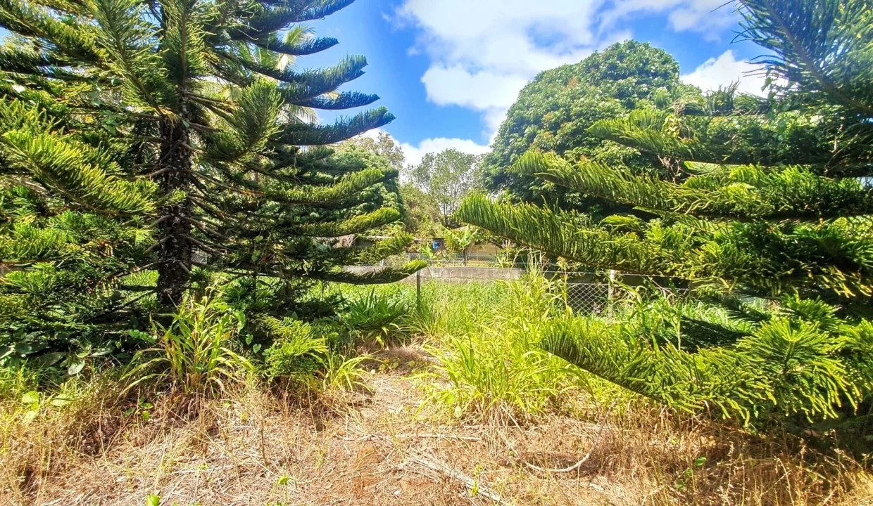 Exceptional Land For Sale in La Caverne, Vacoas 7